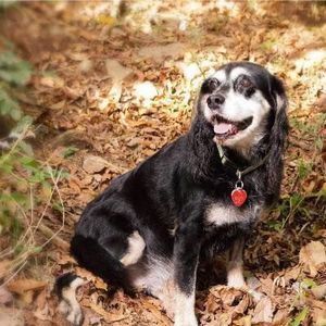 Meet your Posher, Autumn